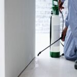 Keeping Healthcare Pest-Free: Essential Control Measures