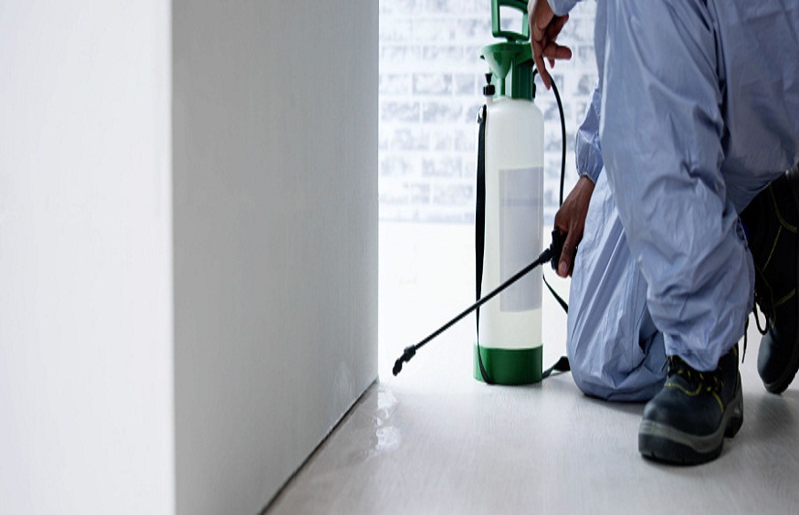 Keeping Healthcare Pest-Free